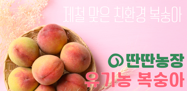 상품 배너