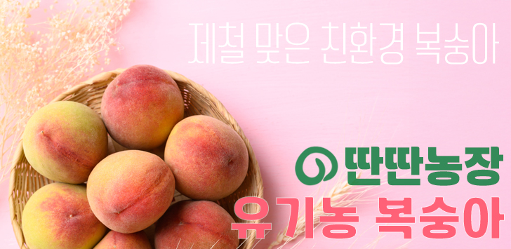 상품 배너