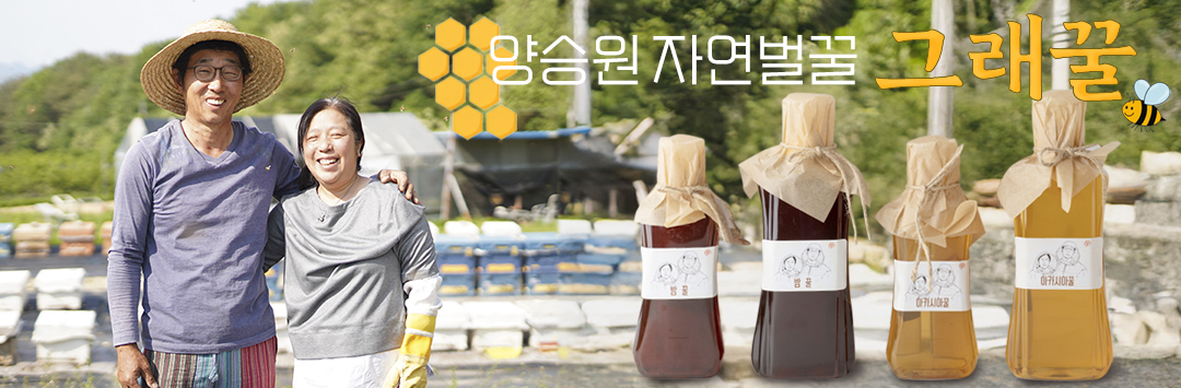 메인 배너