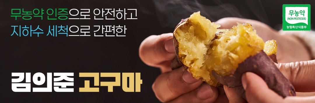 메인 배너