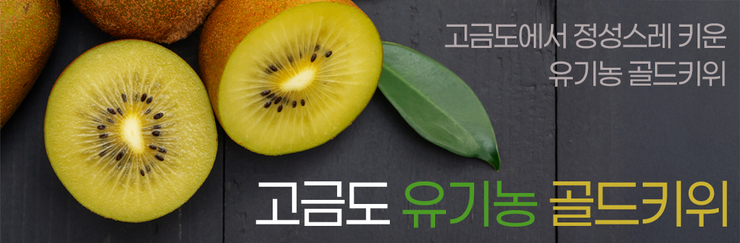 메인 배너
