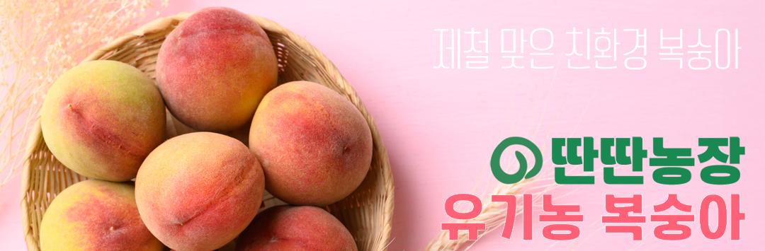 메인 배너