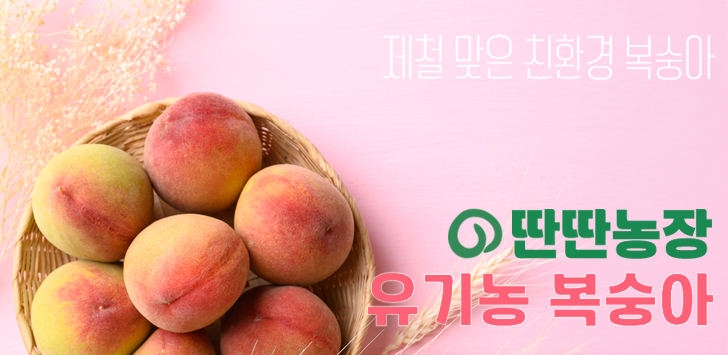 상품 배너