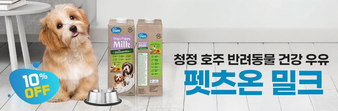 메인 배너