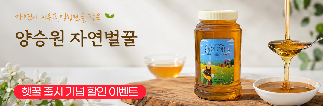 메인 배너