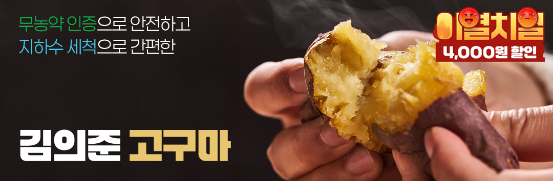 메인 배너