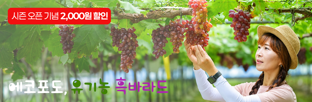메인 배너