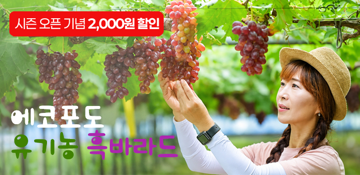 상품 배너