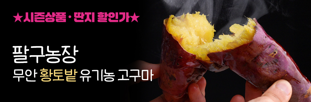 메인 배너