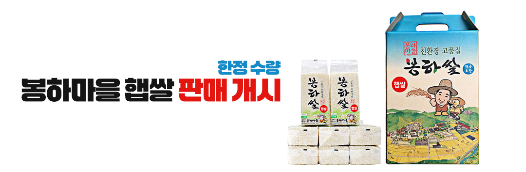 메인 배너
